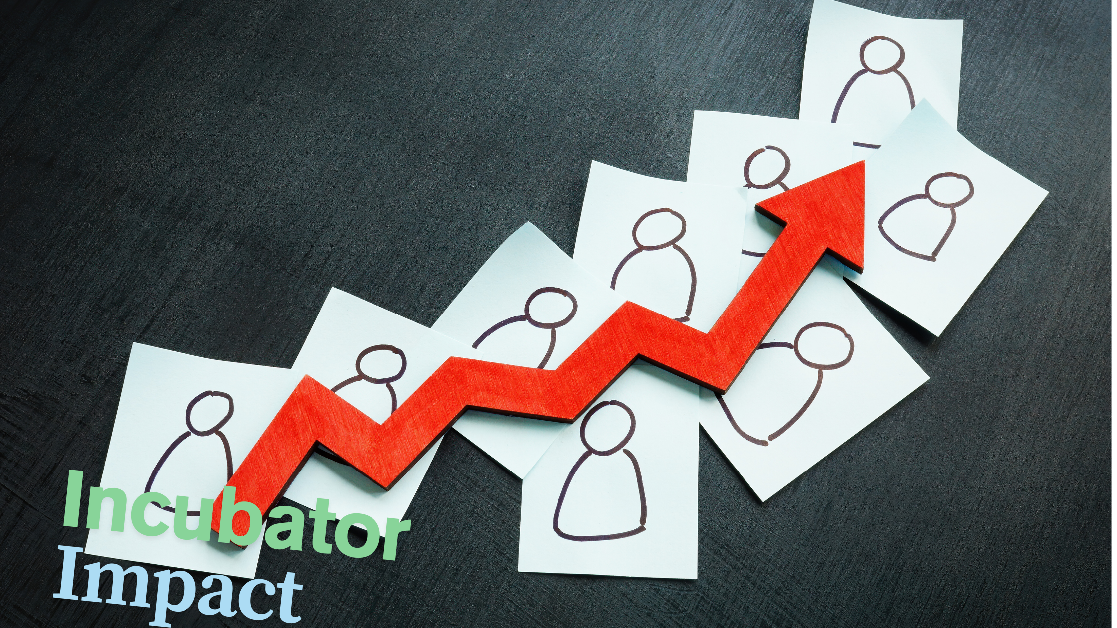 Incubator Impact. Impact Incubator