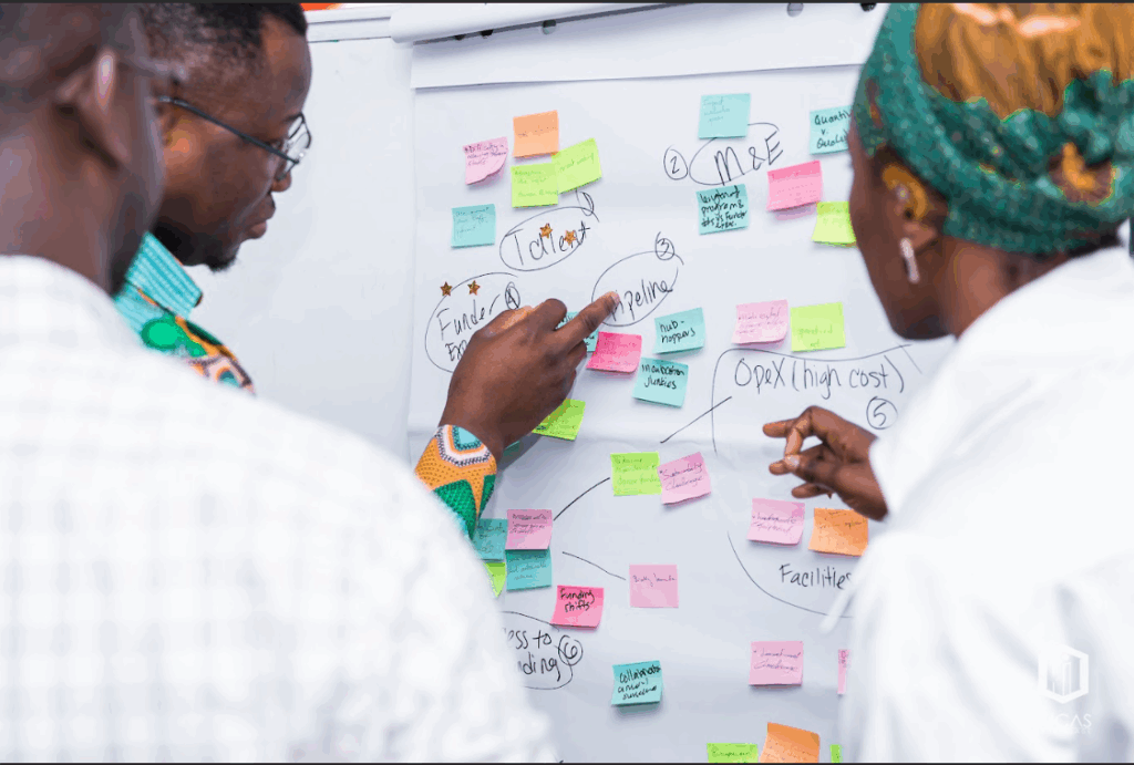 The design team working together in forming the structure and strategy of Pollinate Impact.