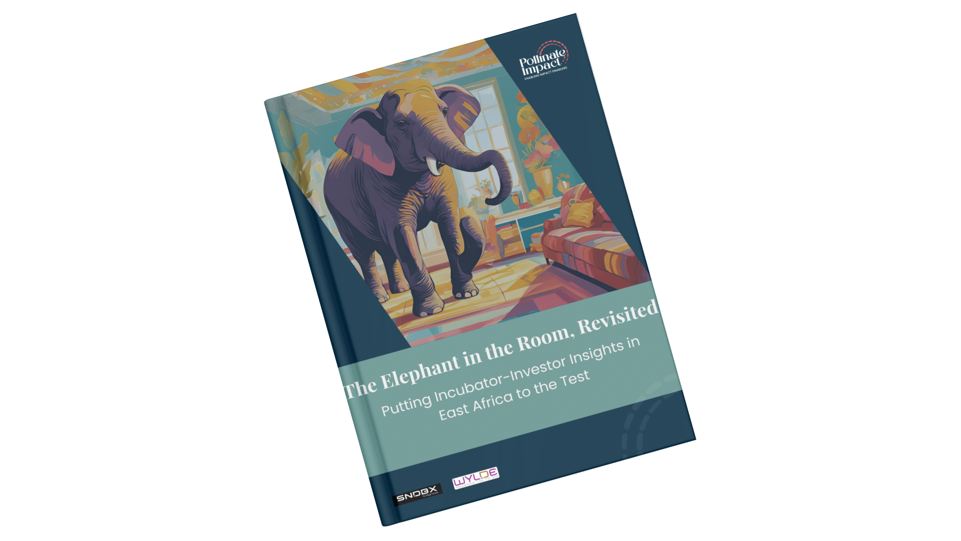 Putting Incubator-Investor Insights in East Africa to the Test